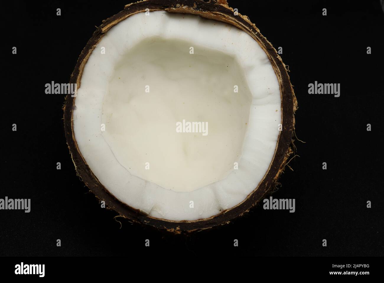 coconut . on a black background Stock Photo