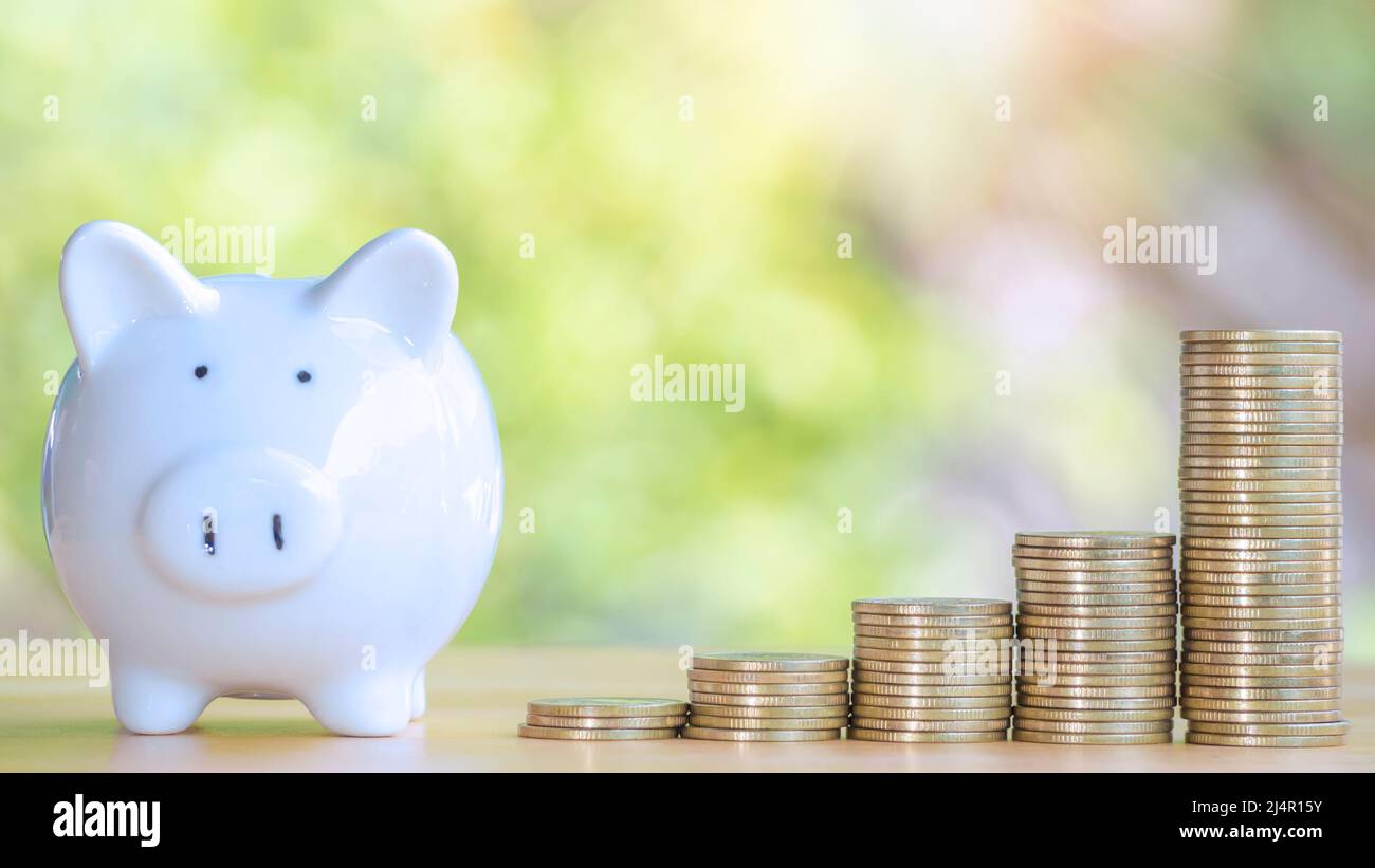 Coins stack 4 rows of gold coins and a white piggy bank placed on a ...
