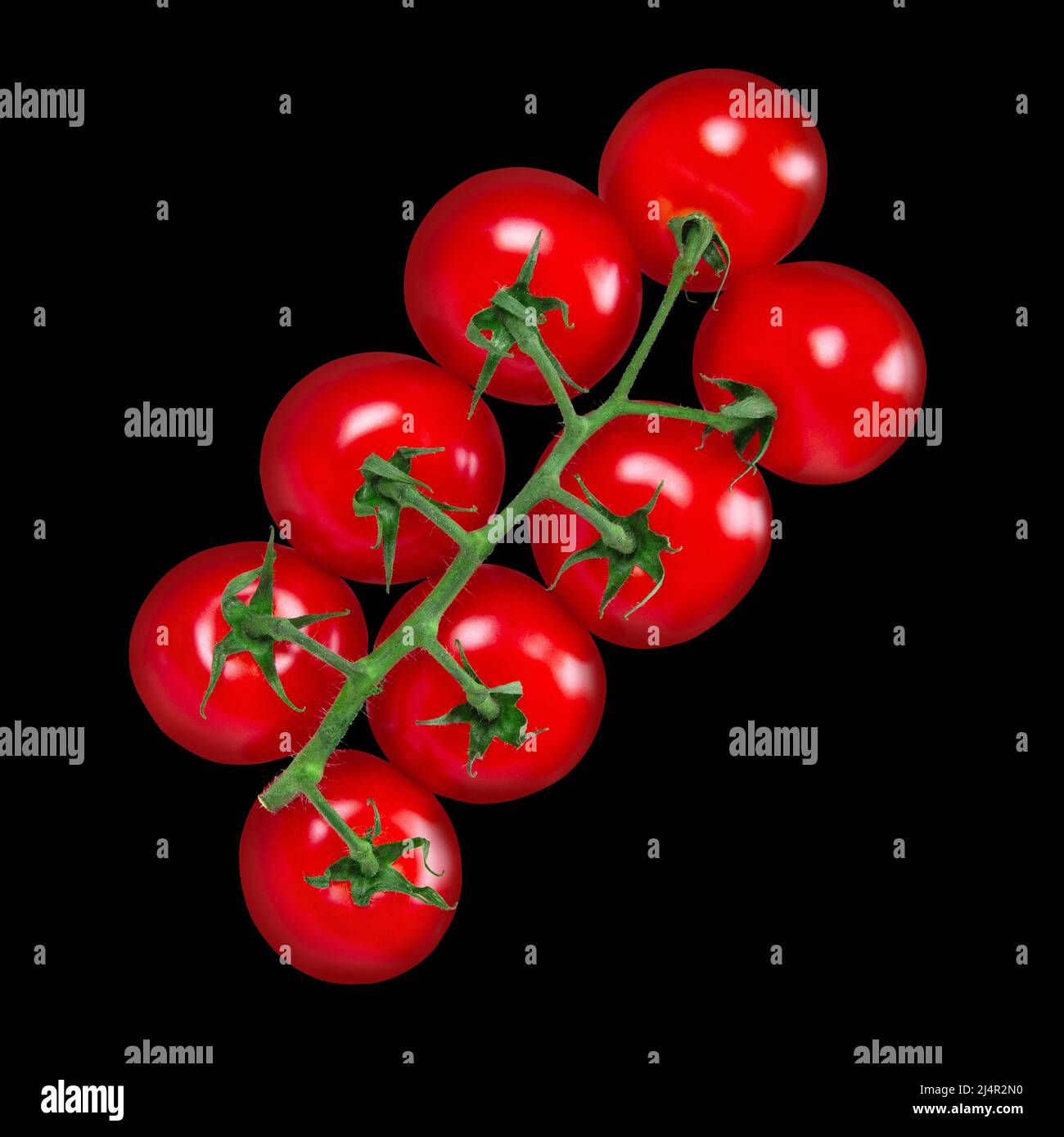 Tomato bunch isolated on solid black background. Top view Stock Photo