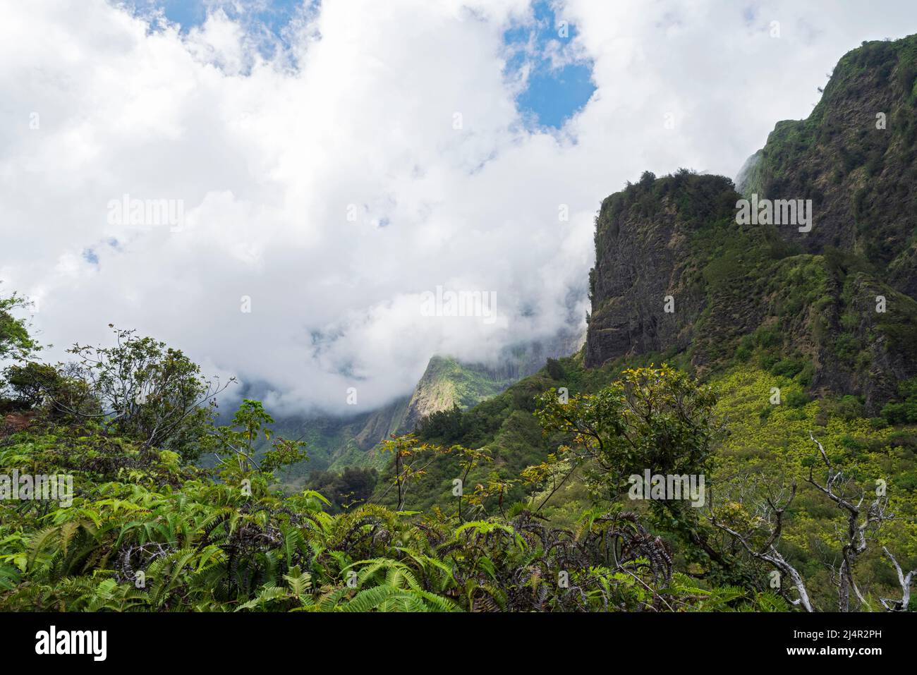 lush valley and towering cliffs of iao valley state park obscured by clouds in maui hawaii Stock Photo