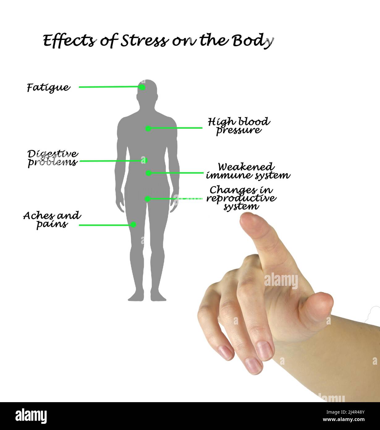 Effects of Stress on the Body Stock Photo - Alamy