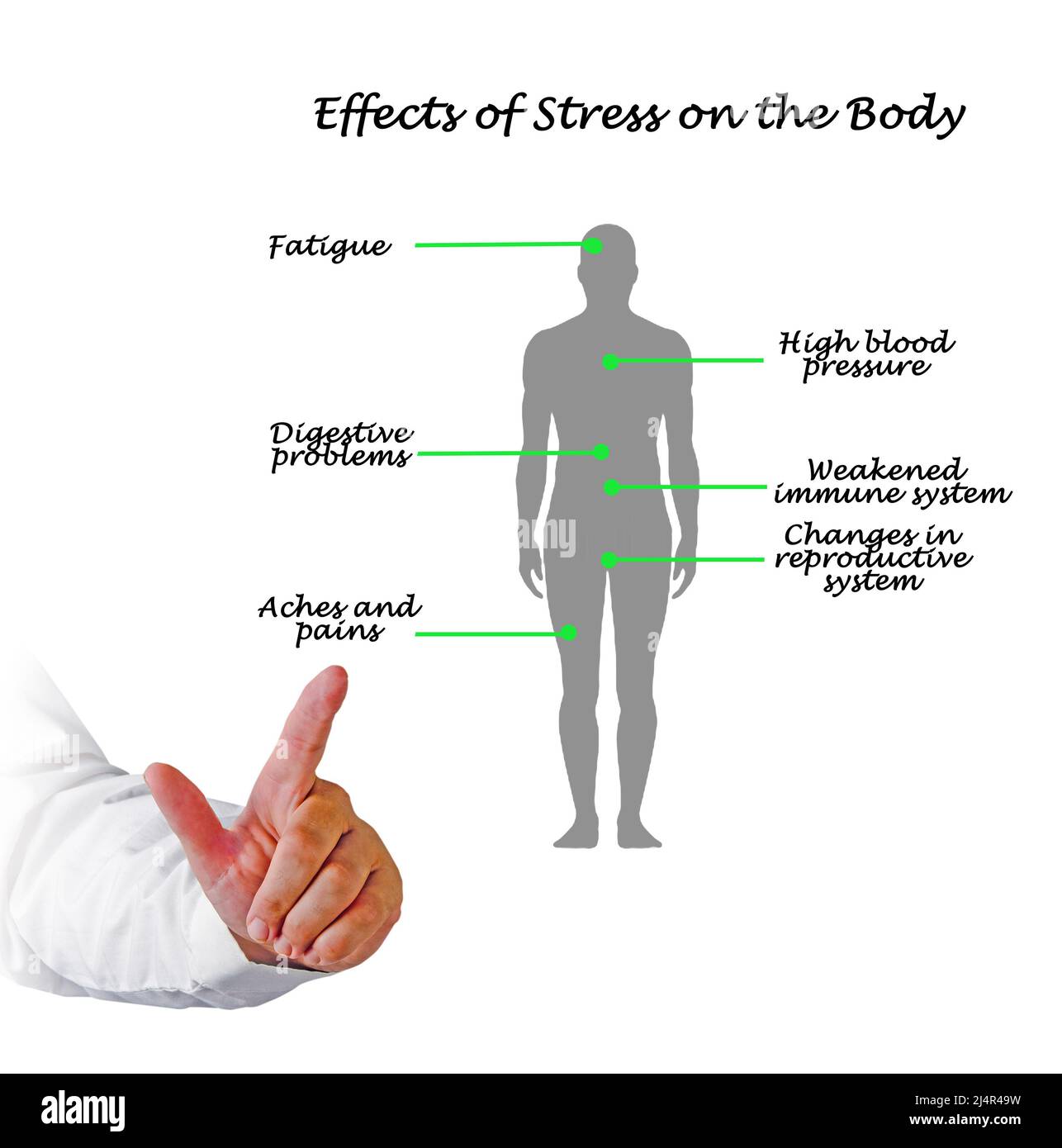 Effects of Stress on the Body Stock Photo