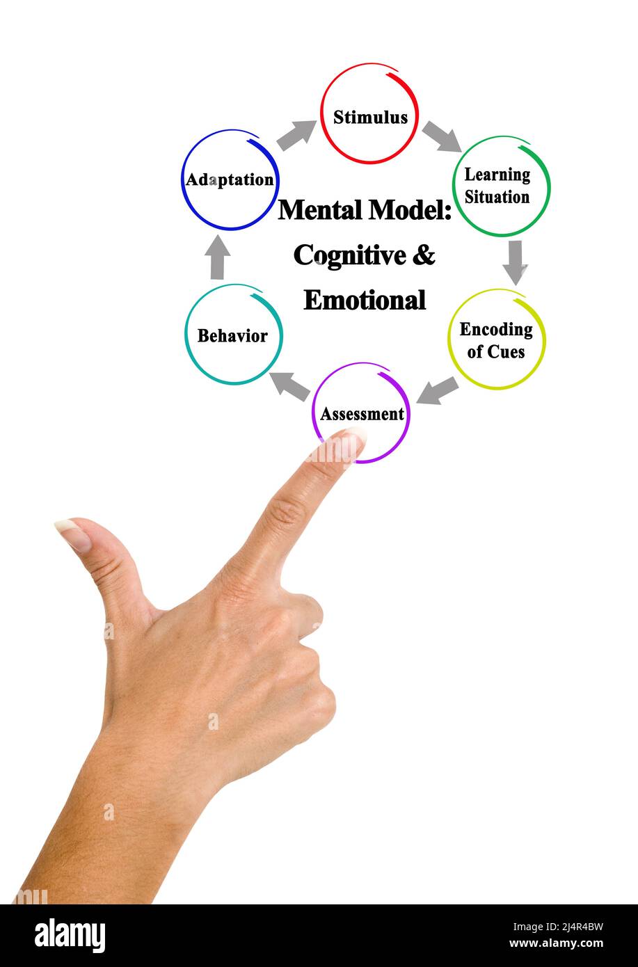 Mental Model: Cognitive & Emotional Stock Photo