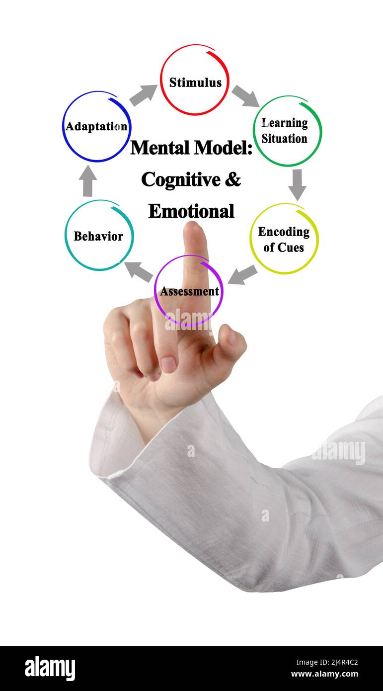 Mental Model: Cognitive & Emotional Stock Photo