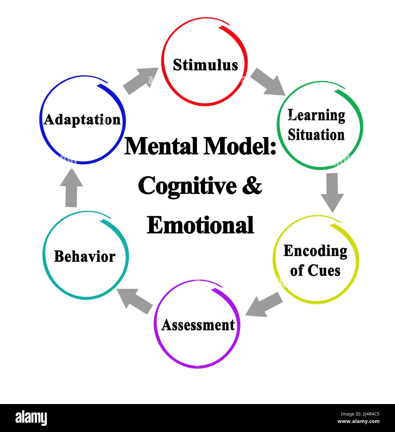 Mental Model: Cognitive & Emotional Stock Photo
