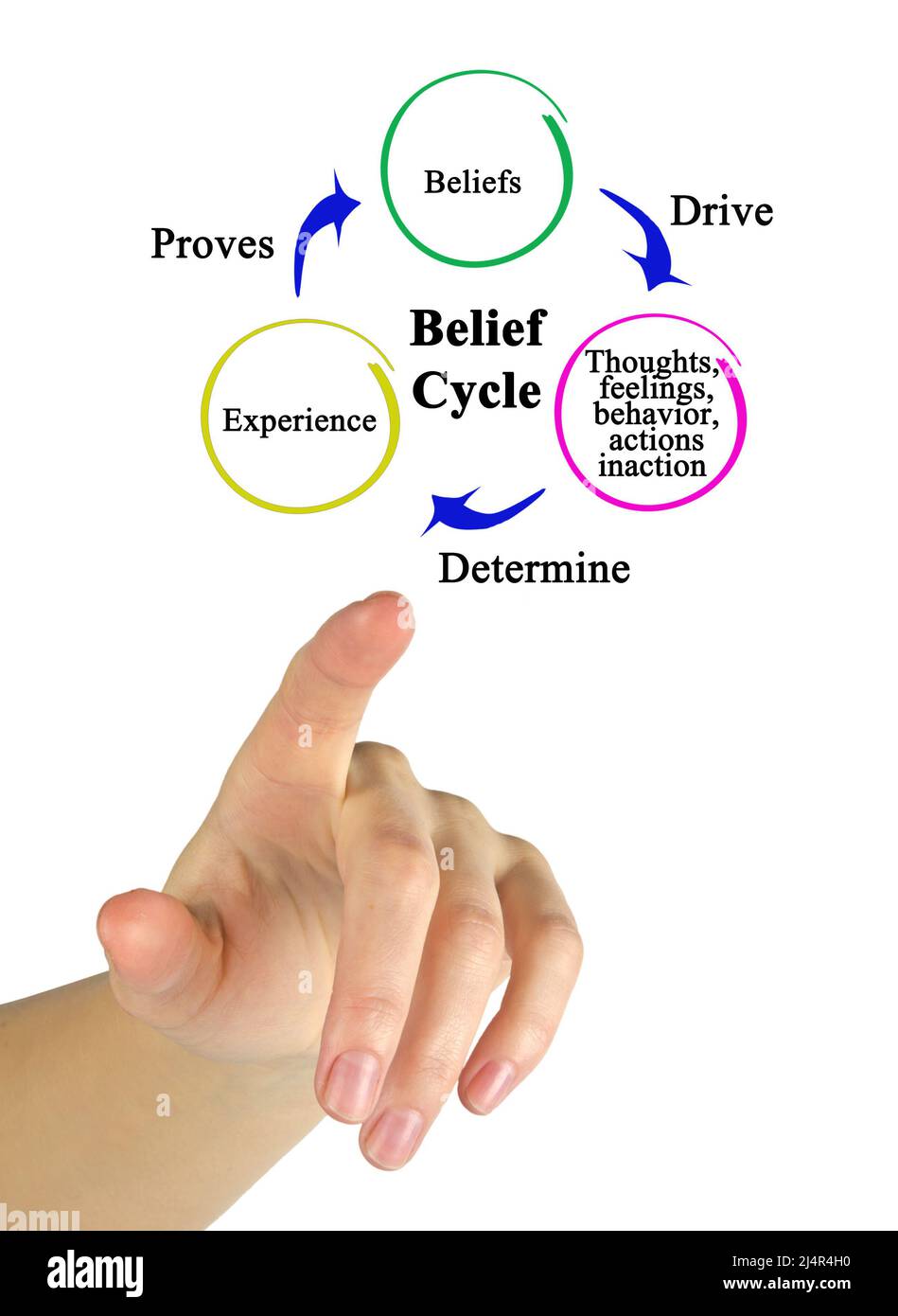 Three Components of Belief Cycle Stock Photo Alamy Three Components of Belief Cycle Stock Photo Alamy