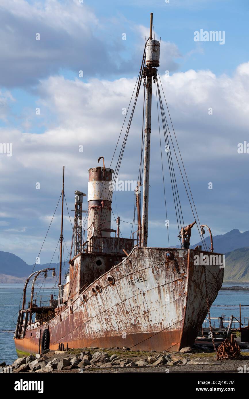South Georgia, King Edward Cove, Grytviken. Historic whaling station. Old whaling ship, the Petrel. Stock Photo