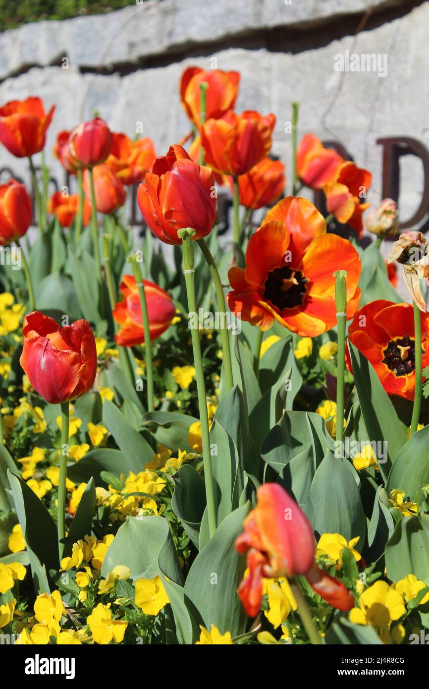 Flowers in The National Memorial for Peace and Justice Stock Photo Alamy