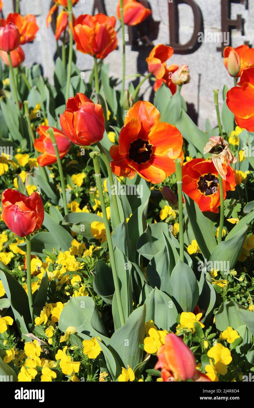 Flowers in The National Memorial for Peace and Justice Stock Photo Alamy