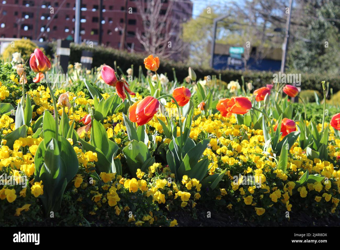 Flowers in The National Memorial for Peace and Justice Stock Photo Alamy