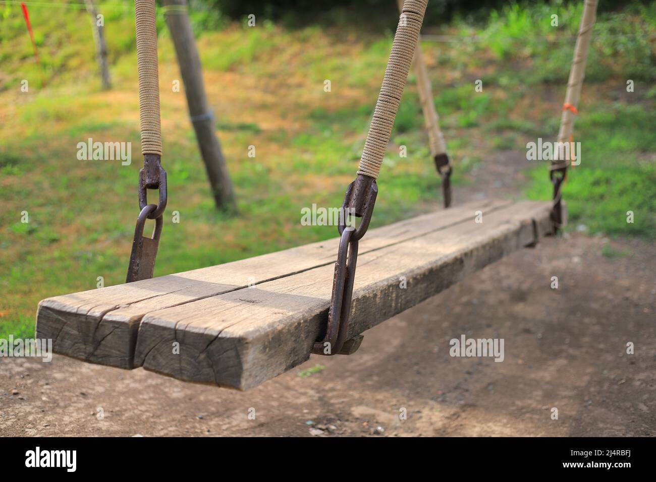 Old wooden swing in the forest in summer Stock Photo