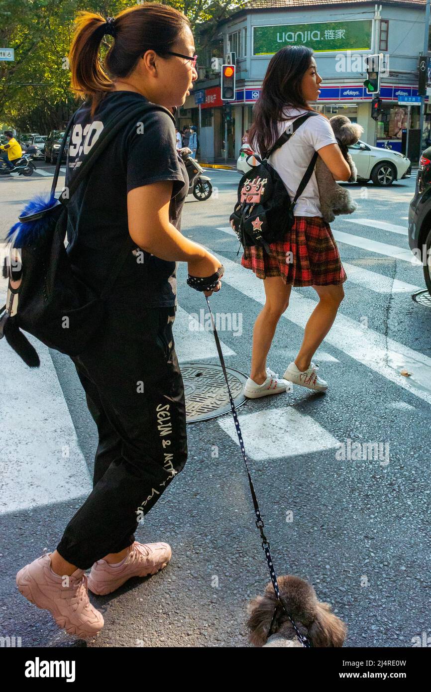 Shanghai, China, Street Scene, Chinese Female Teenagers with Pet Dogs