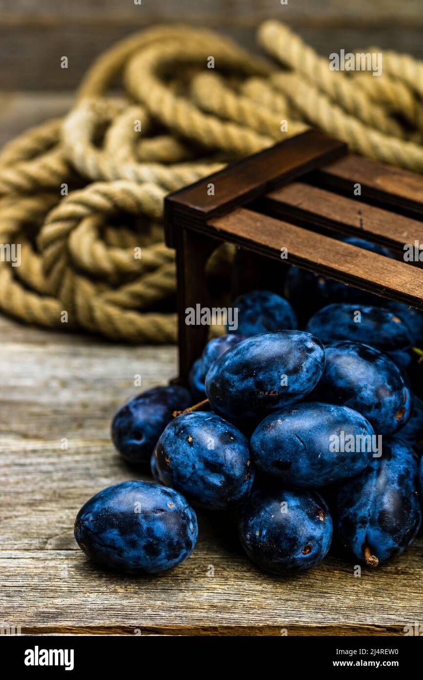 Ripe blue plums in a wooden crate in a rustic composition Stock Photo