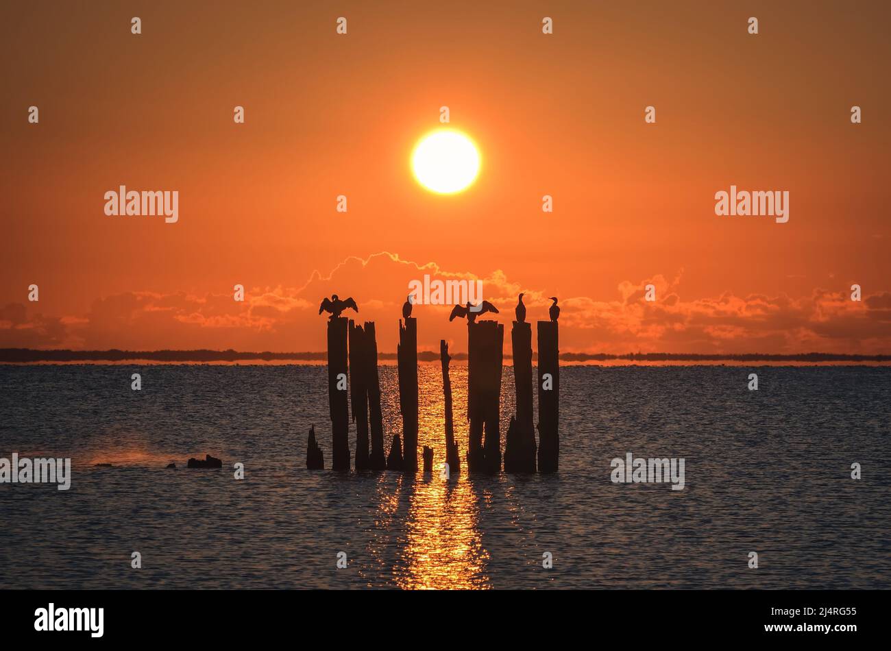 Beautiful evening seaside view. Wooden boles at the Polish seaside with the evening sun in the background. Stock Photo