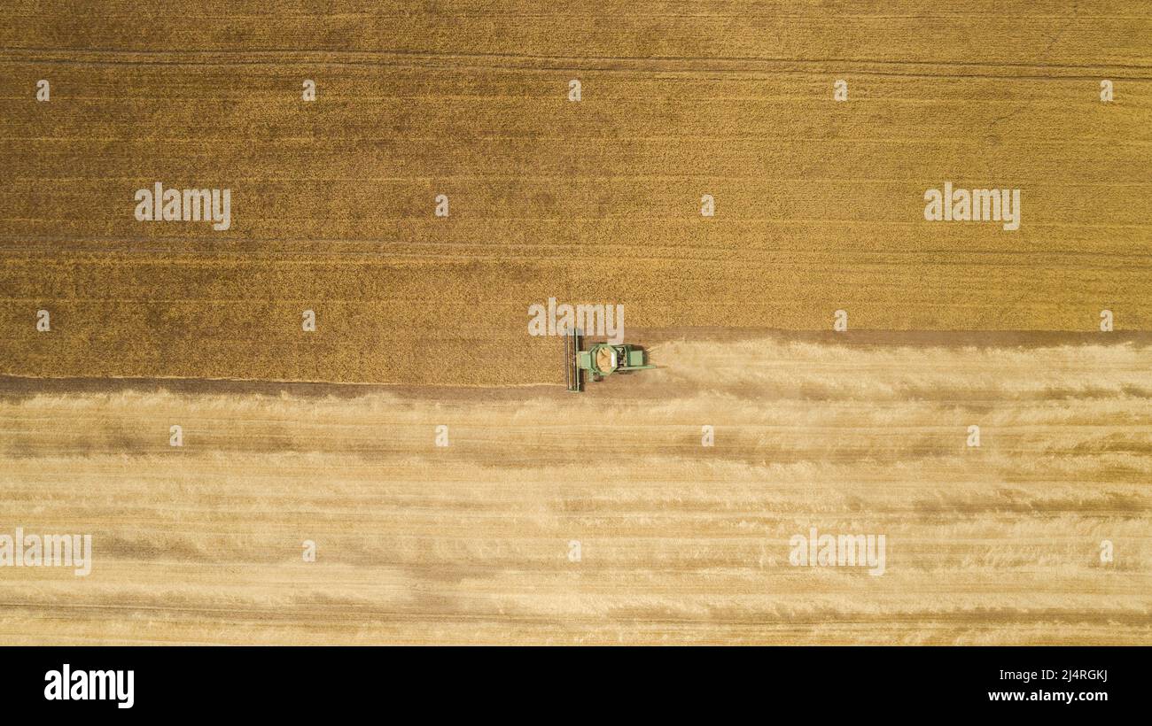 Aerial view combine harvester harvesting on the field Stock Photo - Alamy