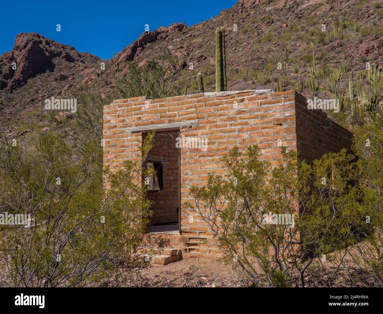 Old ranch house, Alamo Canyon, Organ Pipe Cactus National Monument, Arizona. Stock Photo