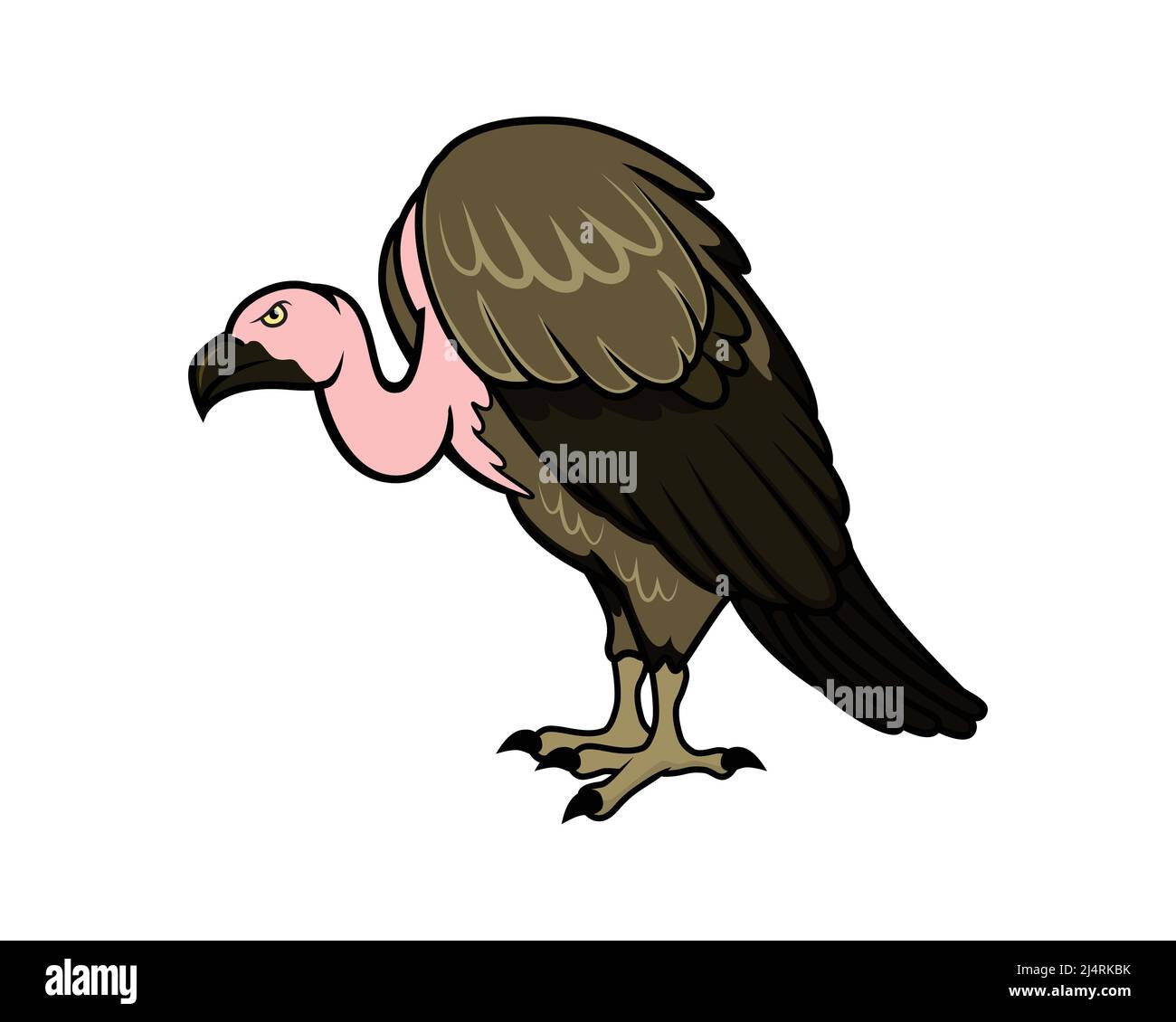 Detailed Vulture with Standing Gesture Illustration Vector Stock Vector