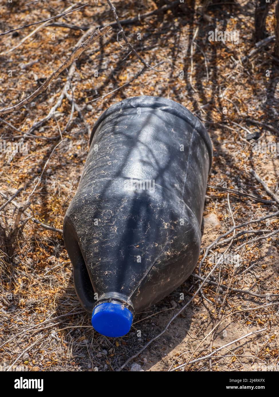 Black water bottle used by smuggler or illegal immigrant, Bates Well ranch, Organ Pipe Cactus National Monument, Arizona. Stock Photo