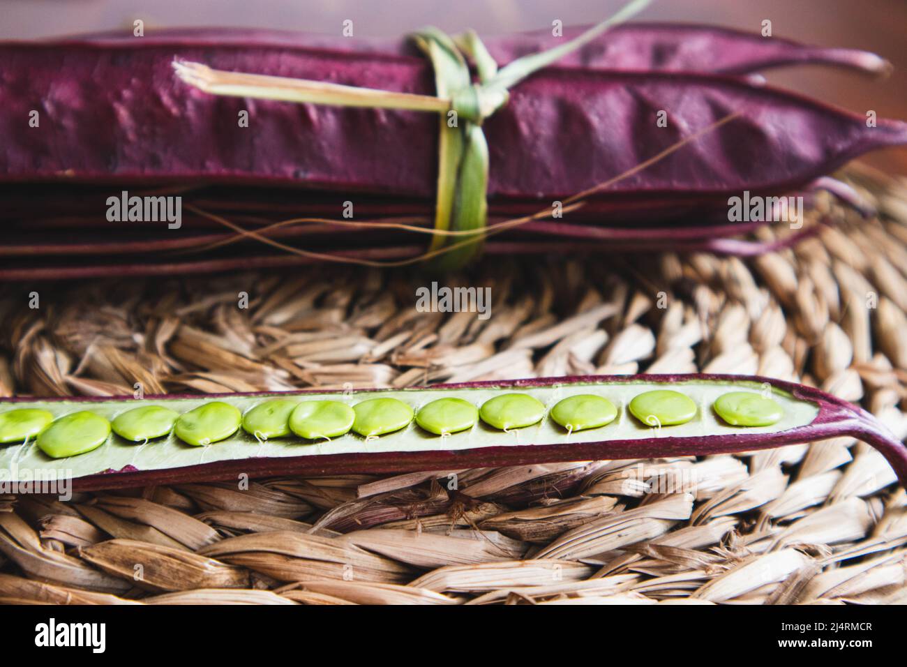 Bundle of Guaje seed pods in Oaxaca, Mexico. Stock Photo