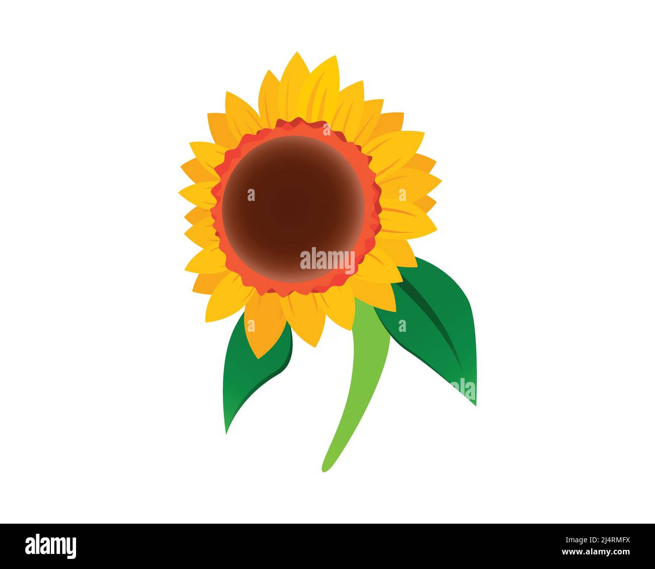 Sunflower Illustration as Flora Entity Vector Stock Vector