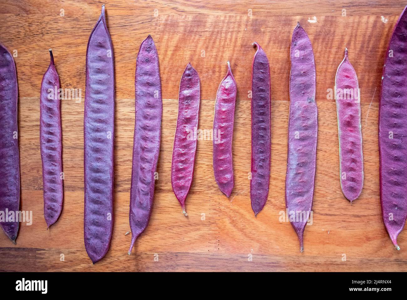 Purple Guaje seed pods arranged on a wood table Stock Photo