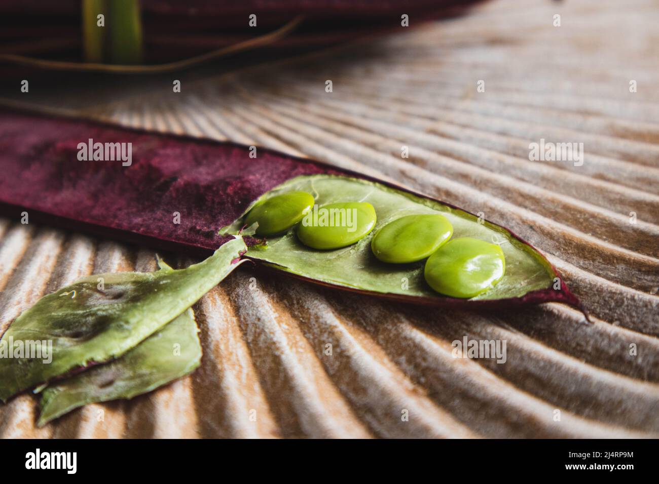Close up of an open Guaje seed pod in Oaxaca, Mexico Stock Photo