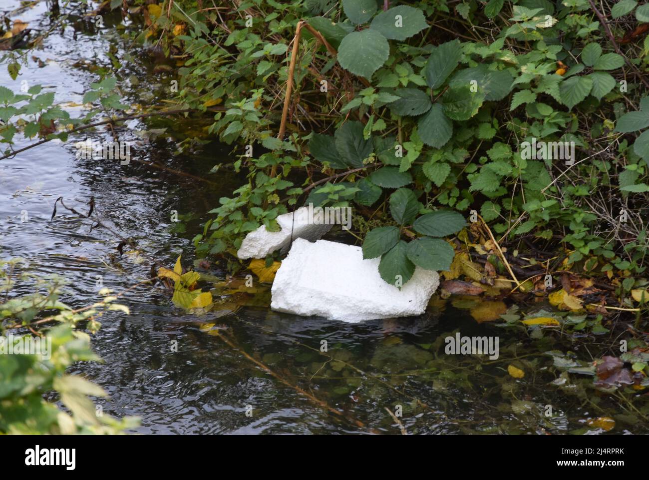 polystyrene blocks floating in stream Stock Photo Alamy