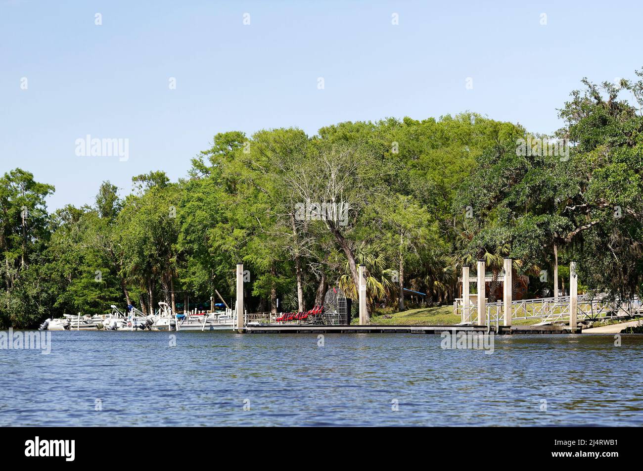 boat docks, pier, airboat, small motor boats, ramp, trees, water, recreation, leisure, marine, Lettuce Lake Park, Florida, Arcadia, FL, spring Stock Photo