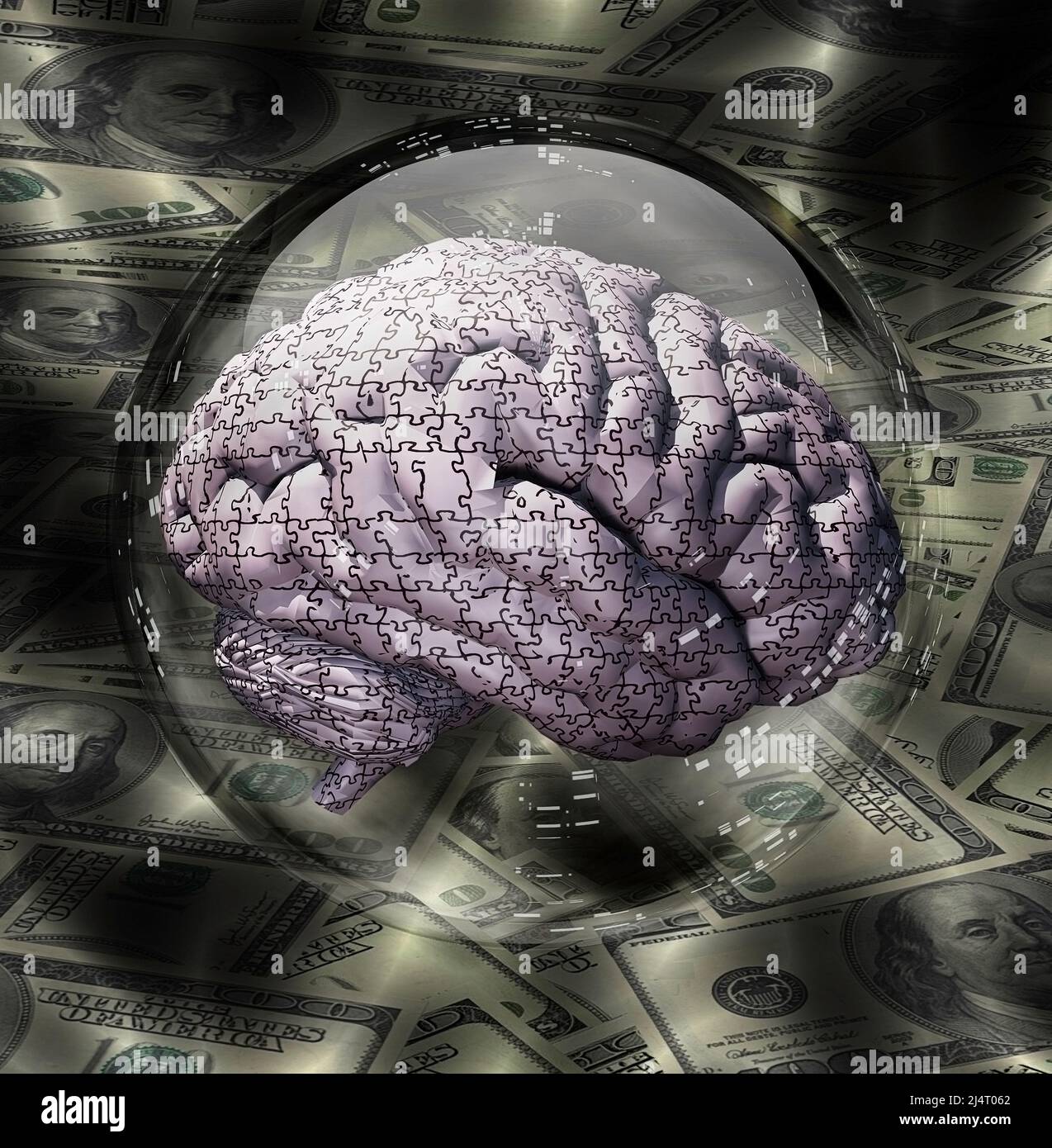 Anatomy model puzzle hires stock photography and images Alamy