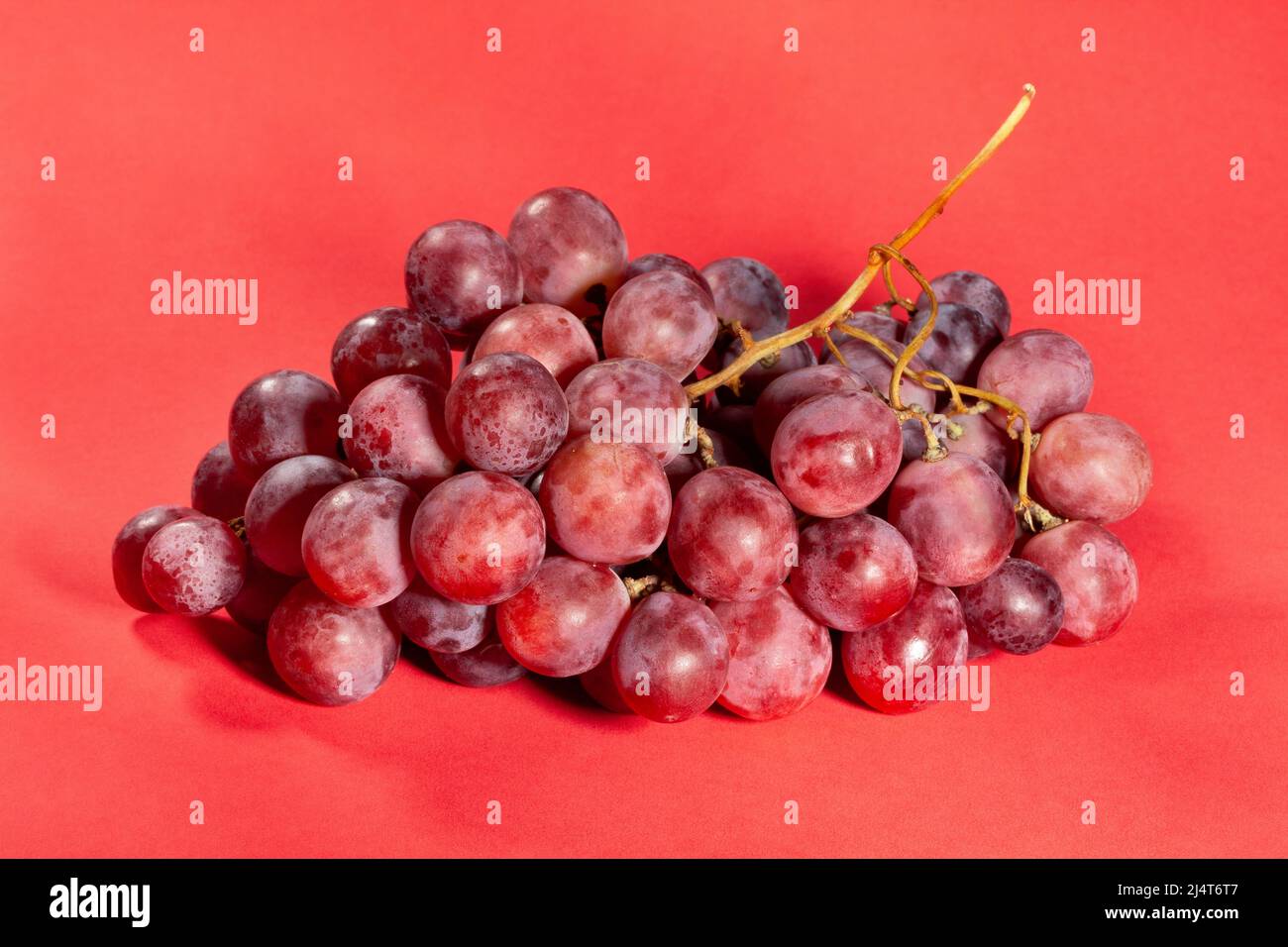 red grape on red background Stock Photo