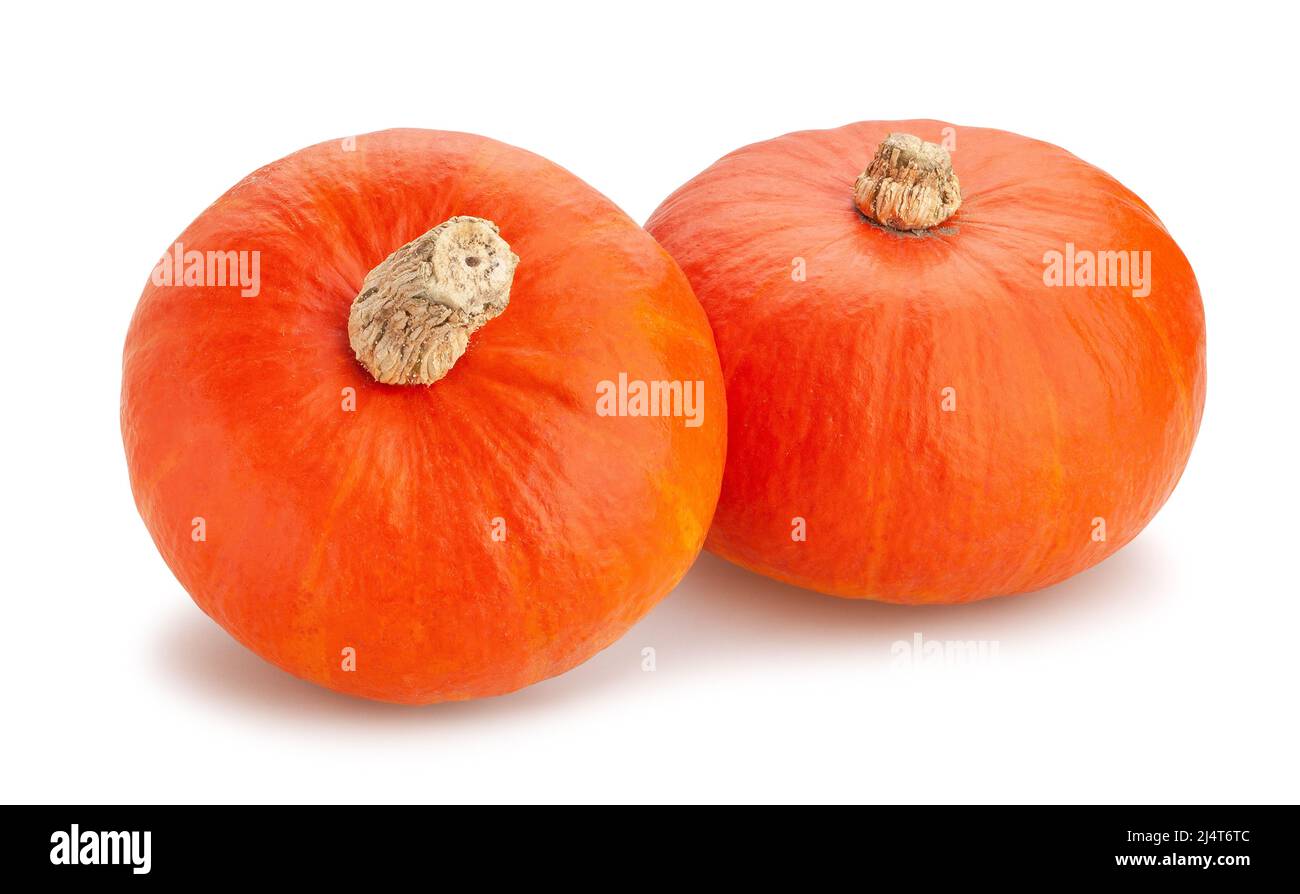 red kuri squash path isolated on white Stock Photo - Alamy