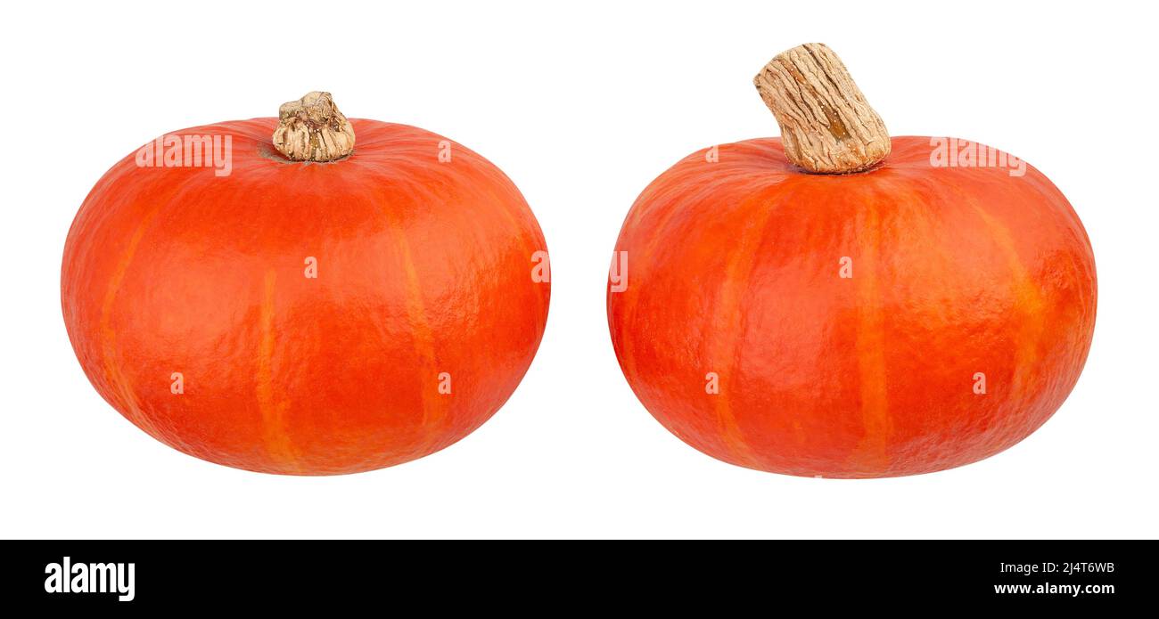 red kuri squash path isolated on white Stock Photo - Alamy