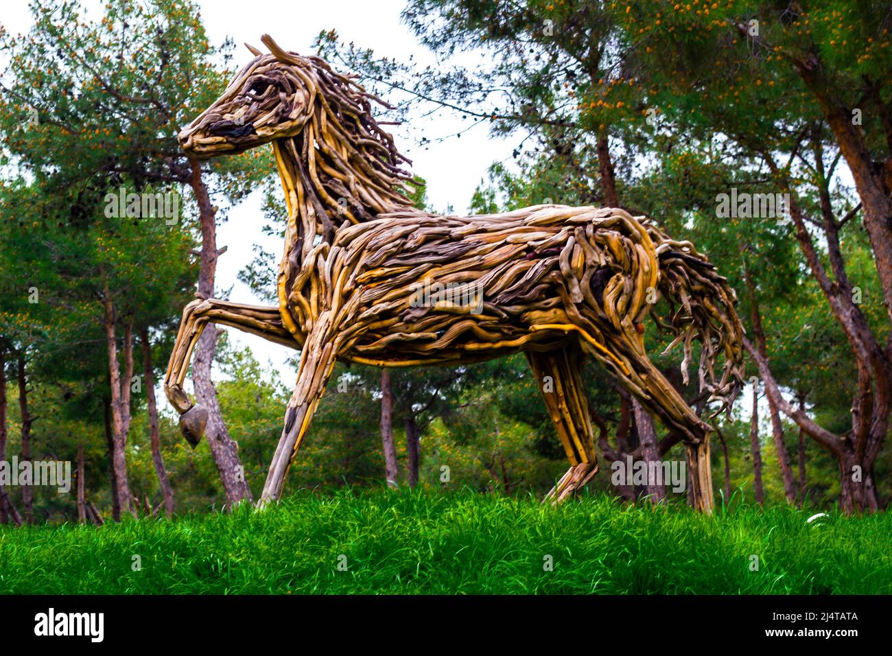 Horse paintings on deals wood