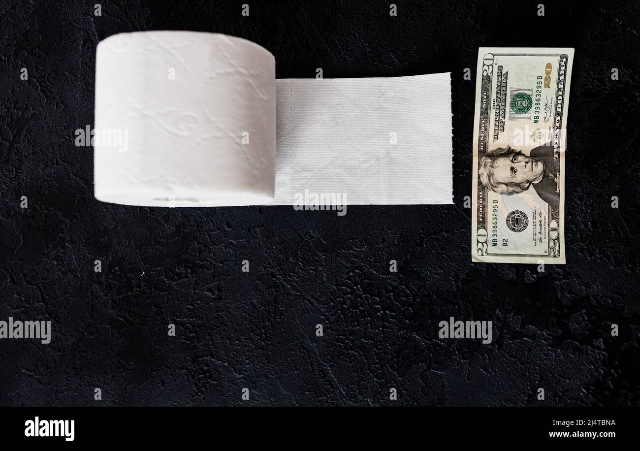 Toilet paper roll with dollar banknotes against textured background