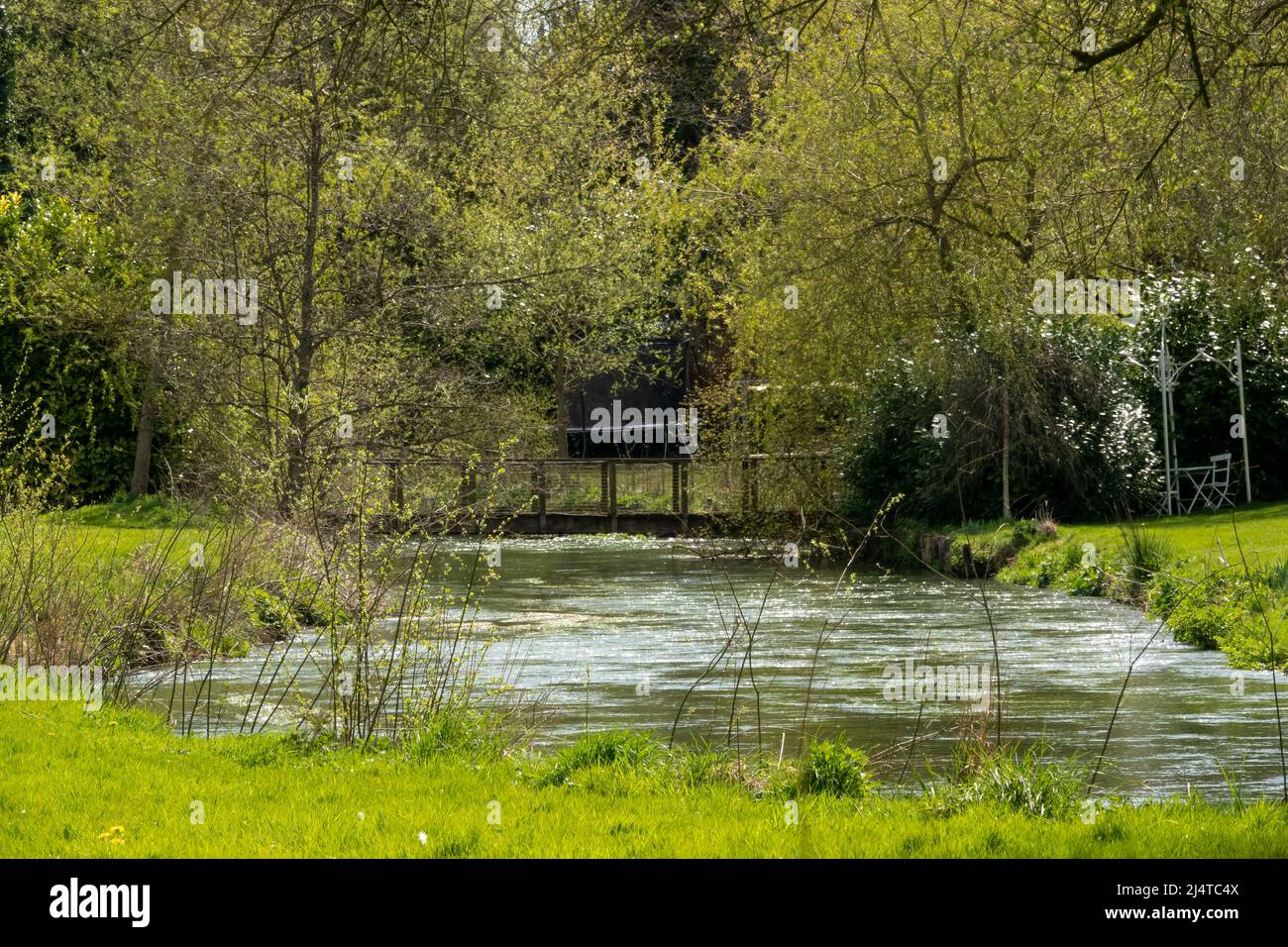 Wiltshire Rivers a scenic view of the river avon in Wiltshire in vibrant Spring, flowing ...