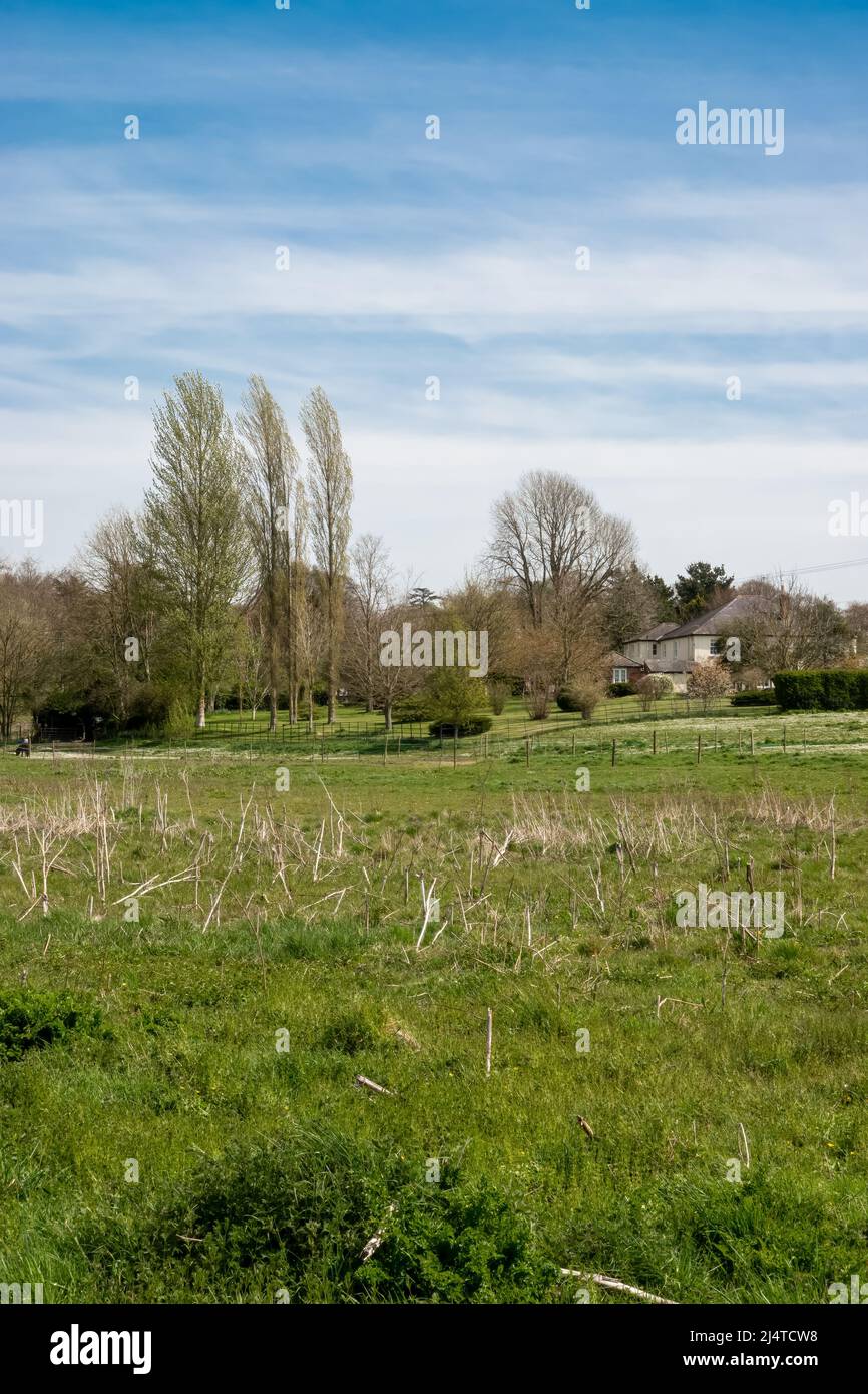 looking across meadows and a paddock to an English period country house ...