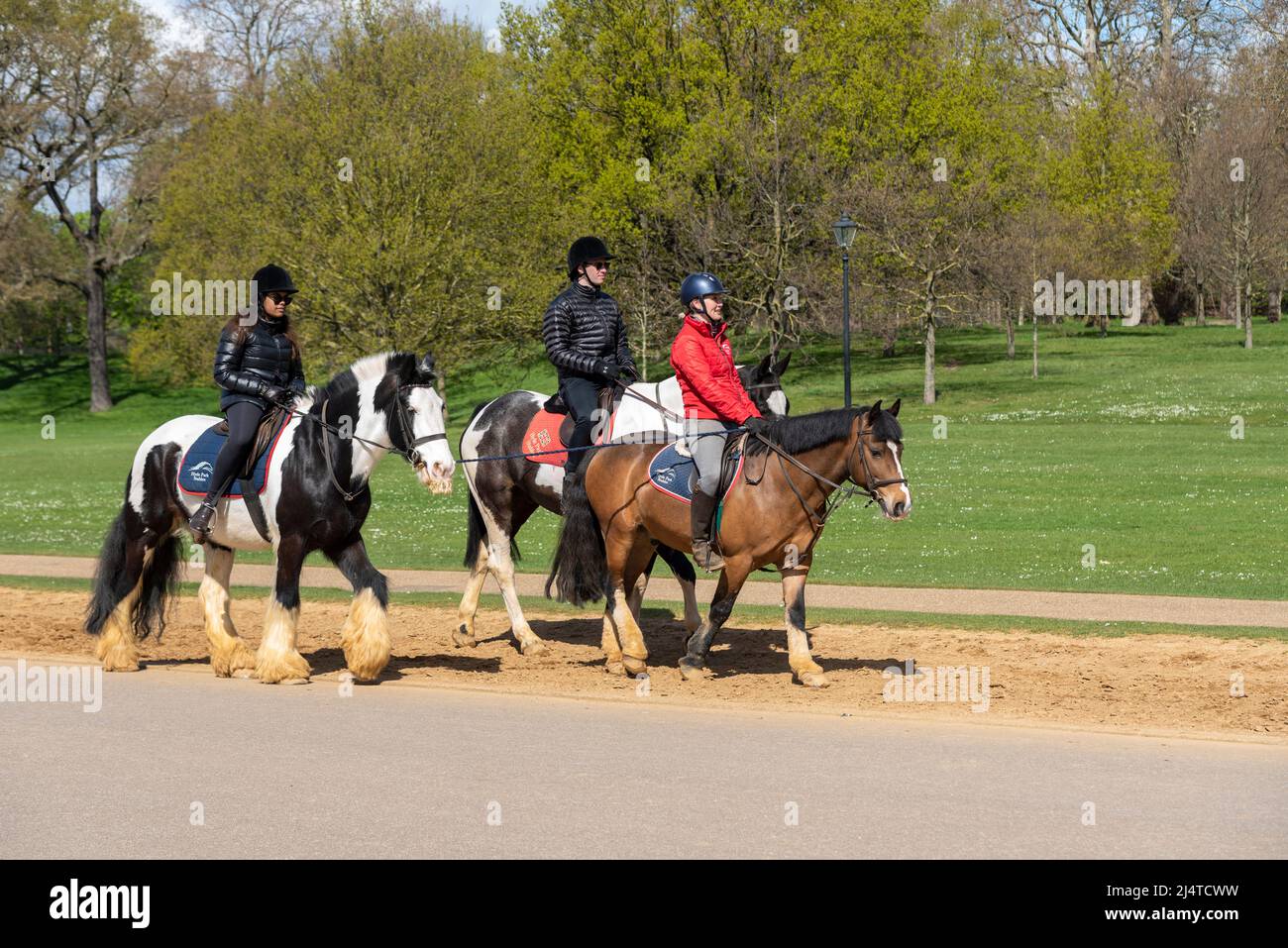 Horse riding school in London park on a bright sunny Spring day. Escorted horse riders on bridleway Stock Photo