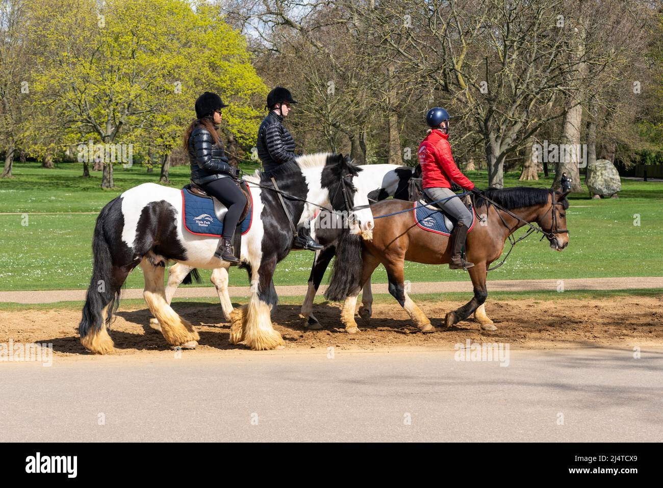 Horse riding school in London park on a bright sunny Spring day. Escorted horse riders on bridleway Stock Photo