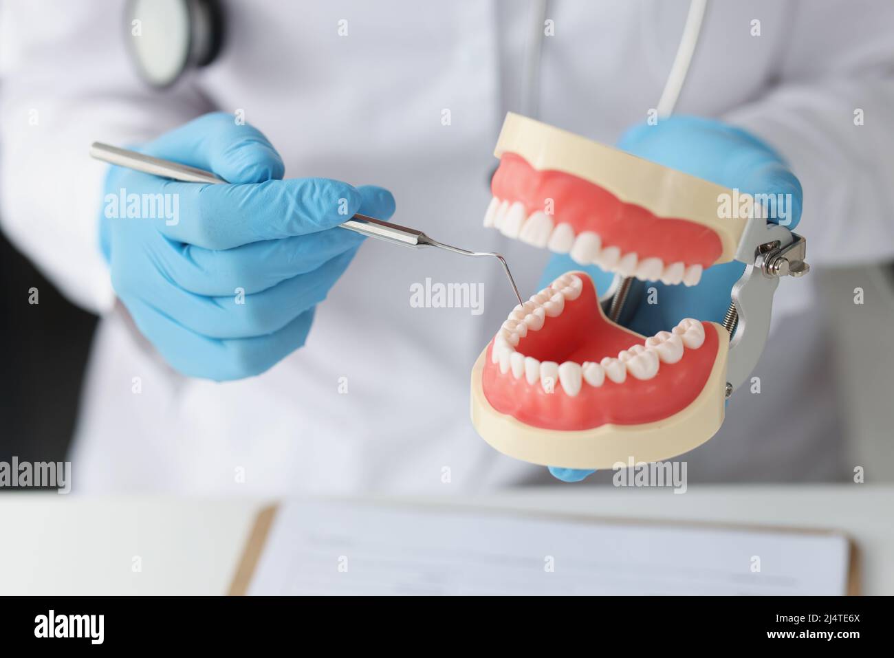 Dentist holds dental tool and jaw with beautiful teeth Stock Photo - Alamy