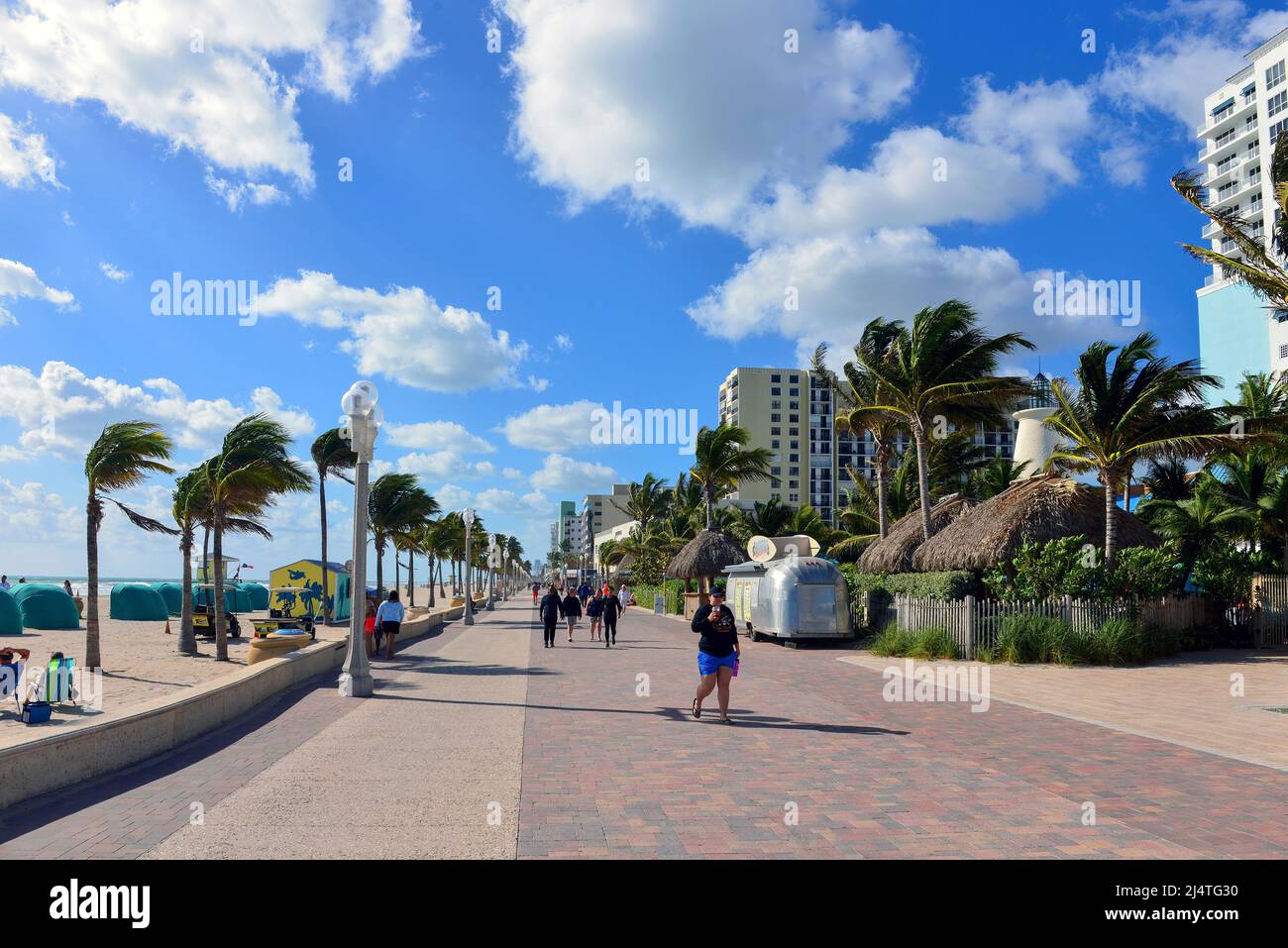 Hollywood Beach Florida Palm Tree Hi res Stock Photography And Images Hollywood Beach Florida Palm Tree Hi res Stock Photography And Images