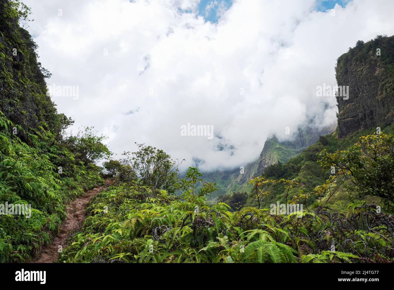 trail along base of towering cliffs and lush valley scenery of cloudy iao valley state park in maui hawaii Stock Photo