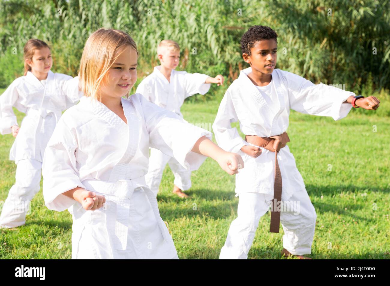 Positive children practicing karate in park Stock Photo - Alamy