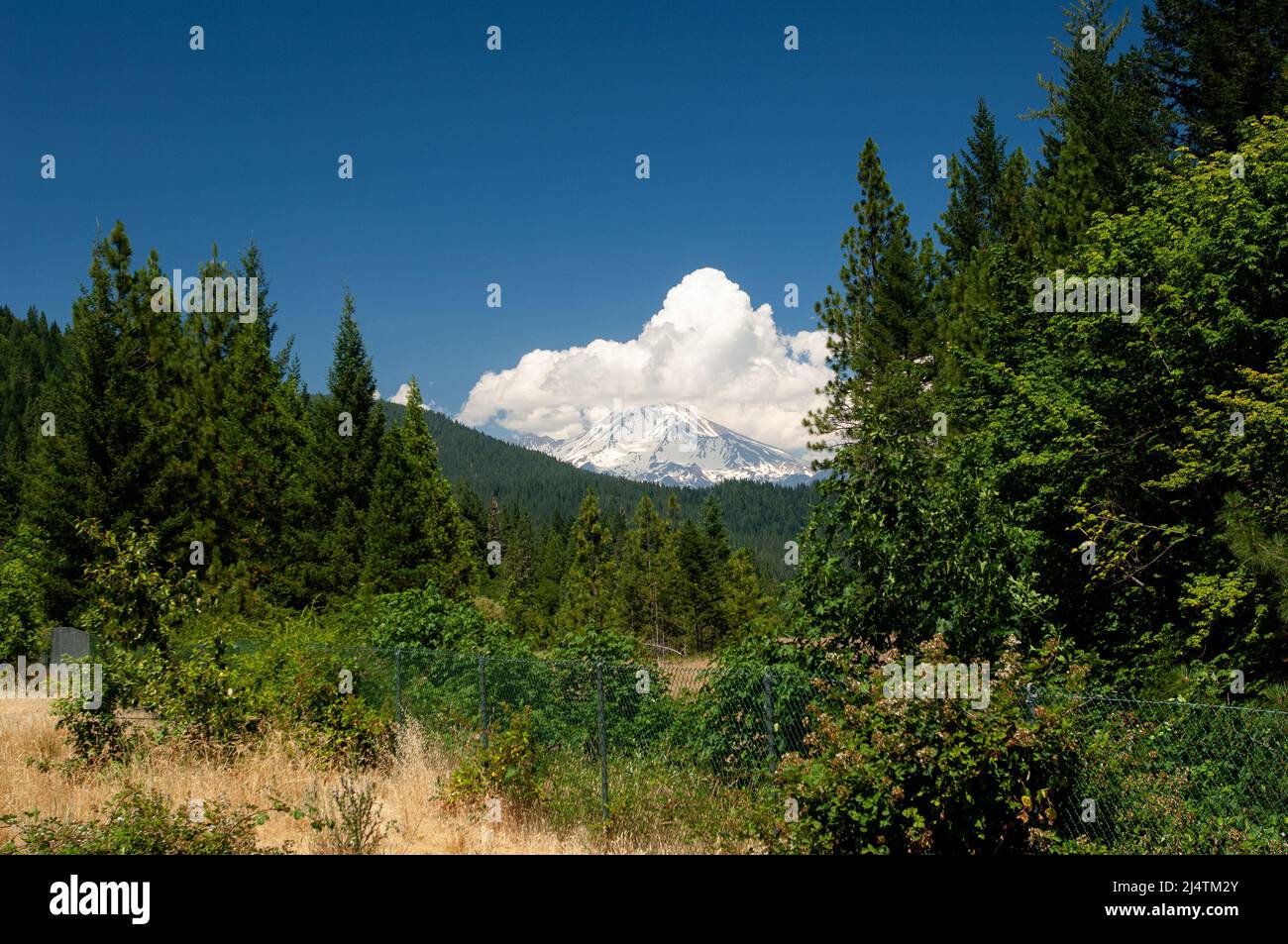 Mount Shasta Stock Photo