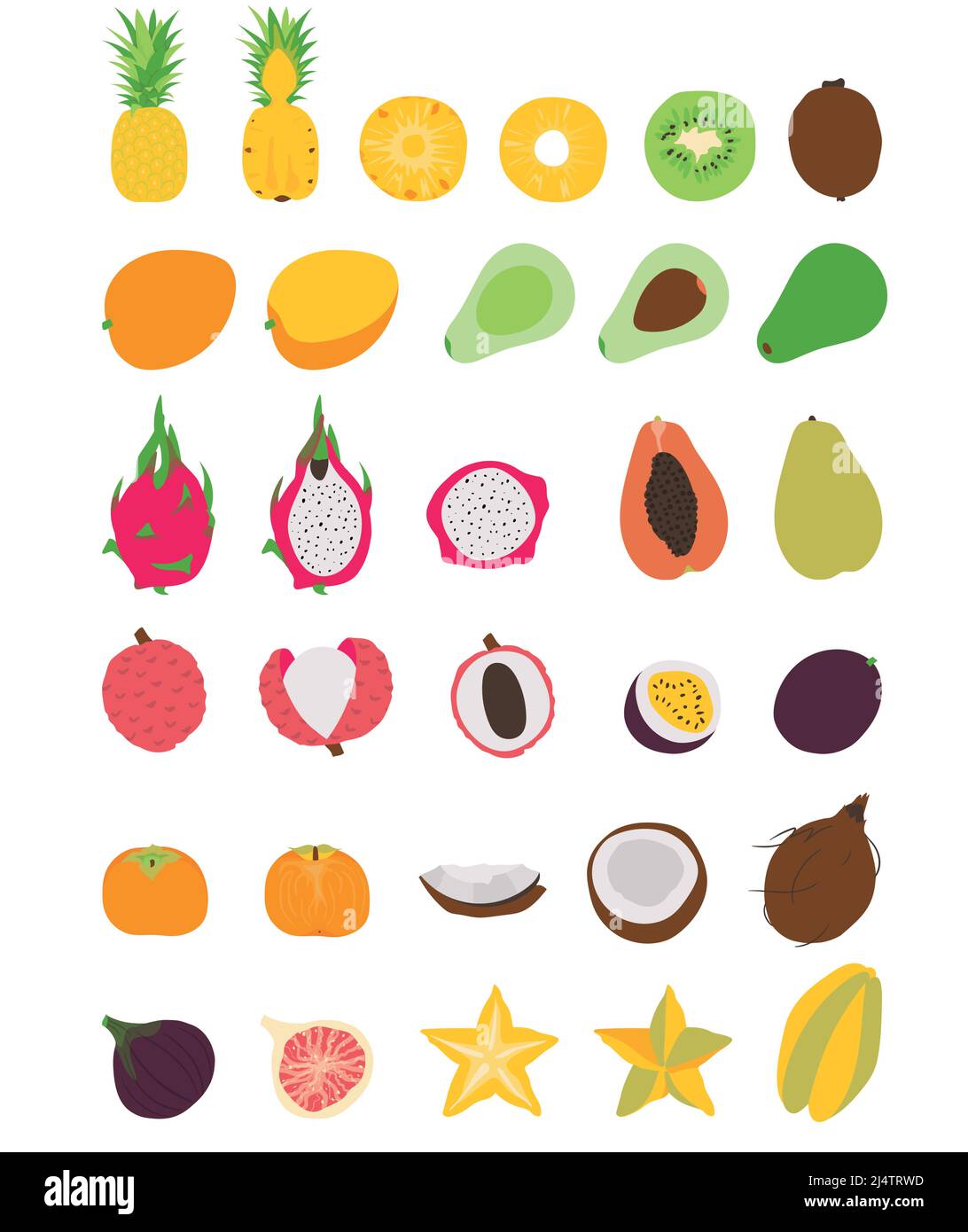 Collection of various hand drawn, flat colored exotic fruits, isolated