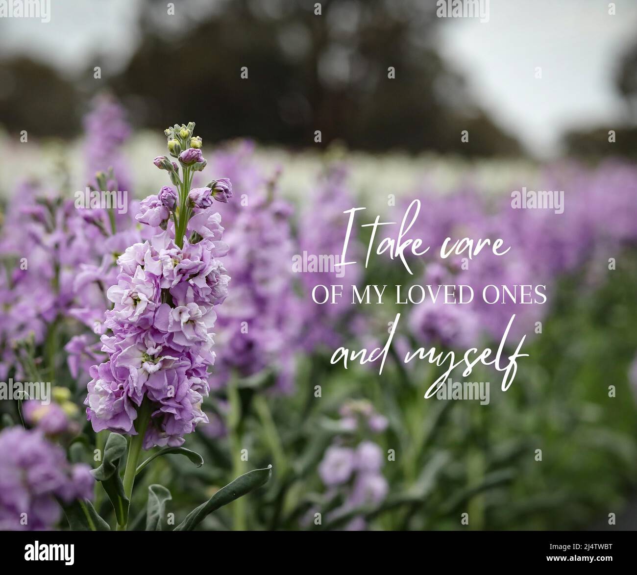 Daily affirmations hires stock photography and images Alamy