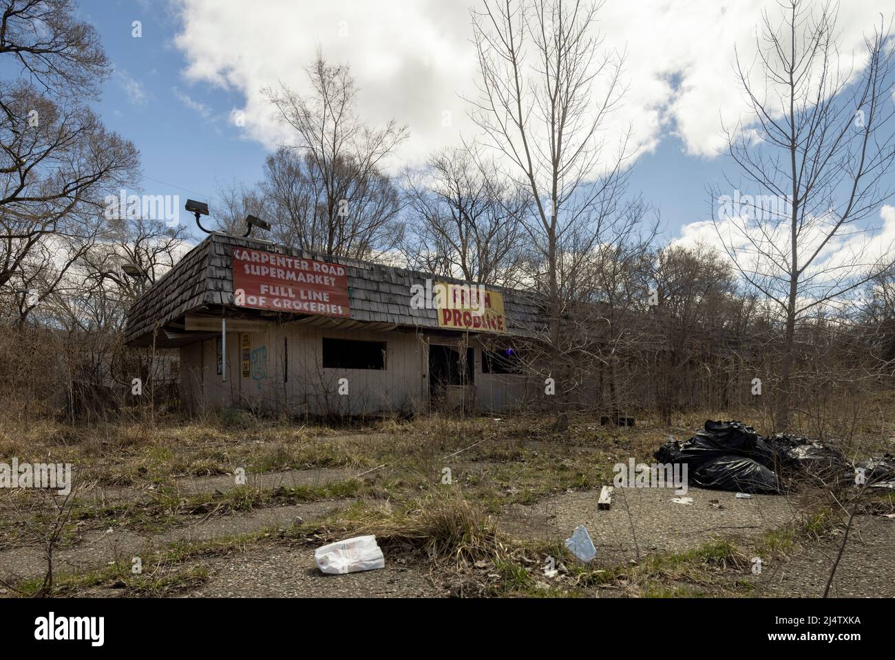 abandoned supermarket, showing regional downturn, Carpenter Road, Flint, Michigan, USA Stock Photo