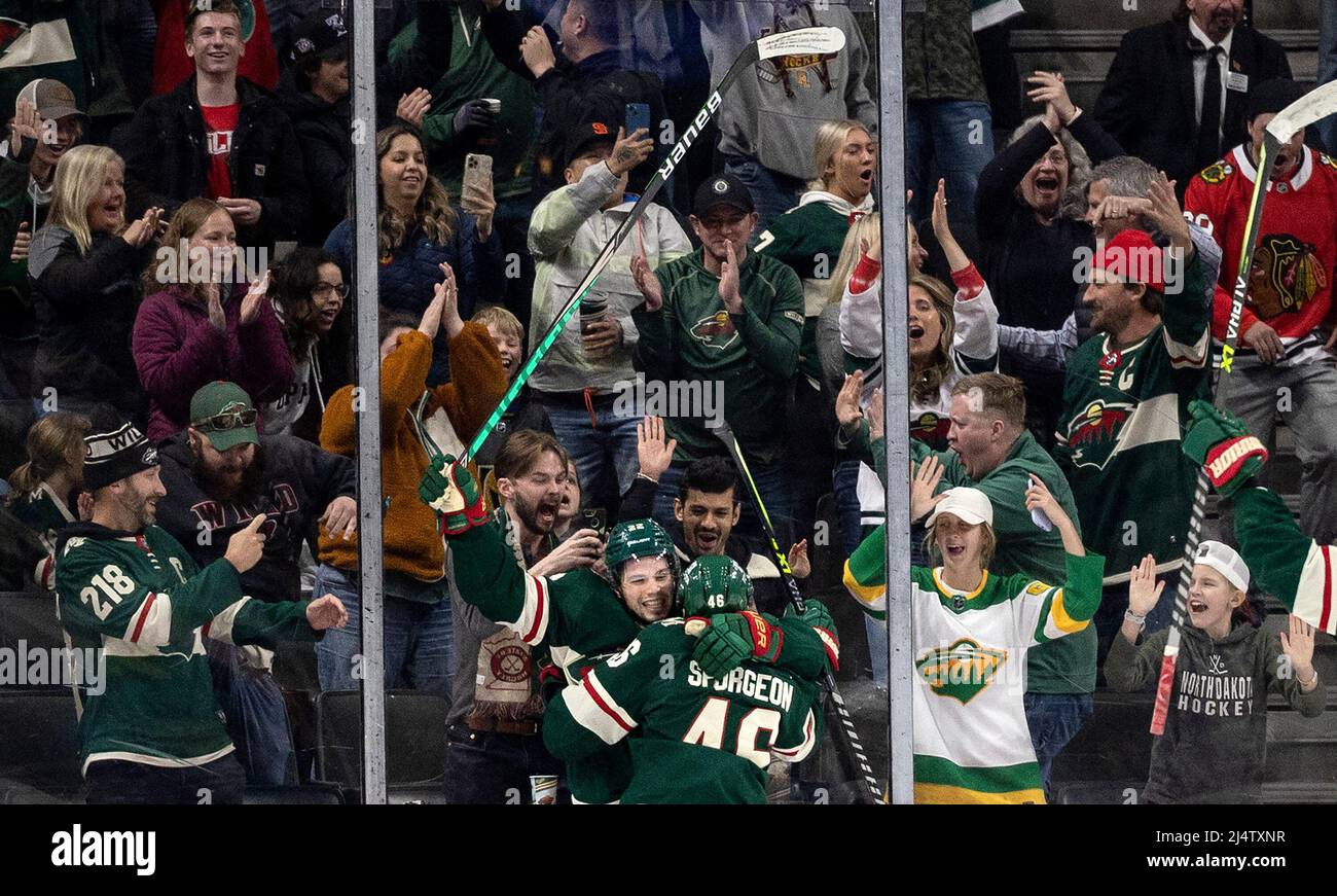 Minnesota wild hockey hi-res stock photography and images - Alamy