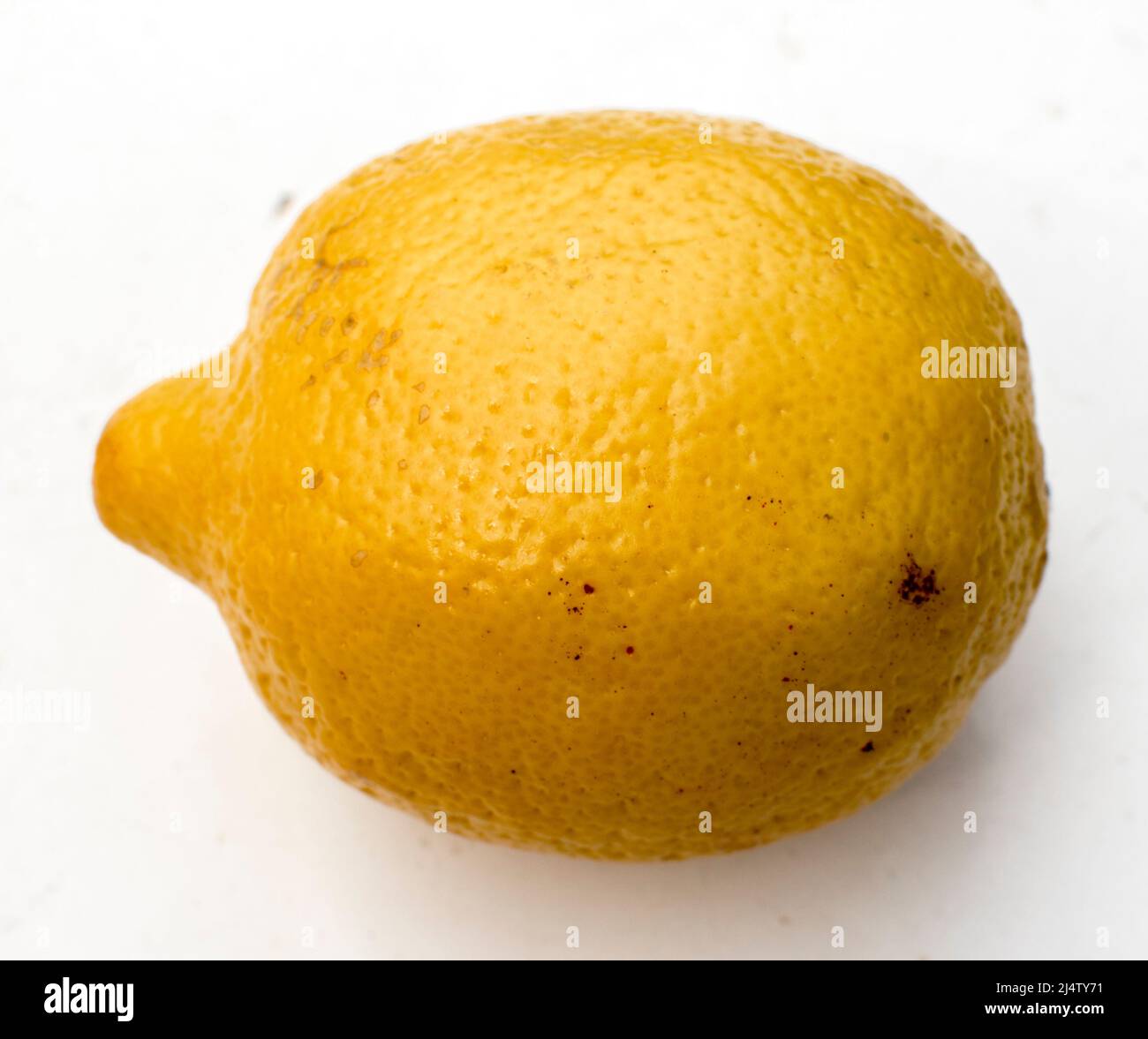 Lemmon on a white background Stock