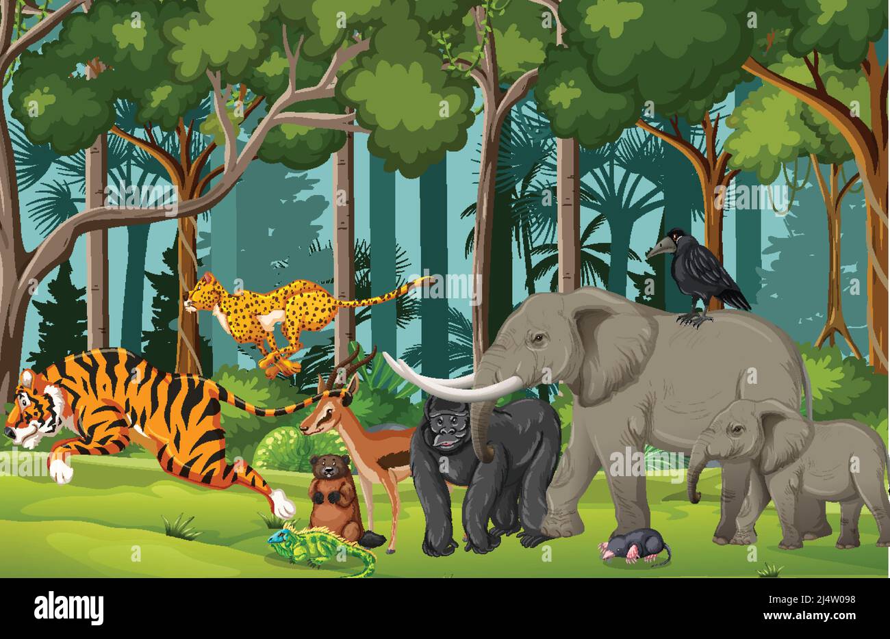 Wild animals in nature forest scene illustration Stock Vector Image ...