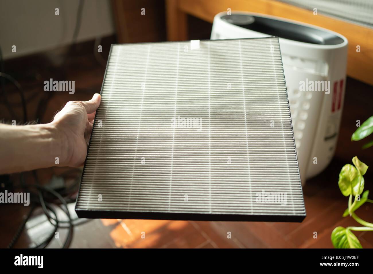 Air purifier filter in hand Stock Photo